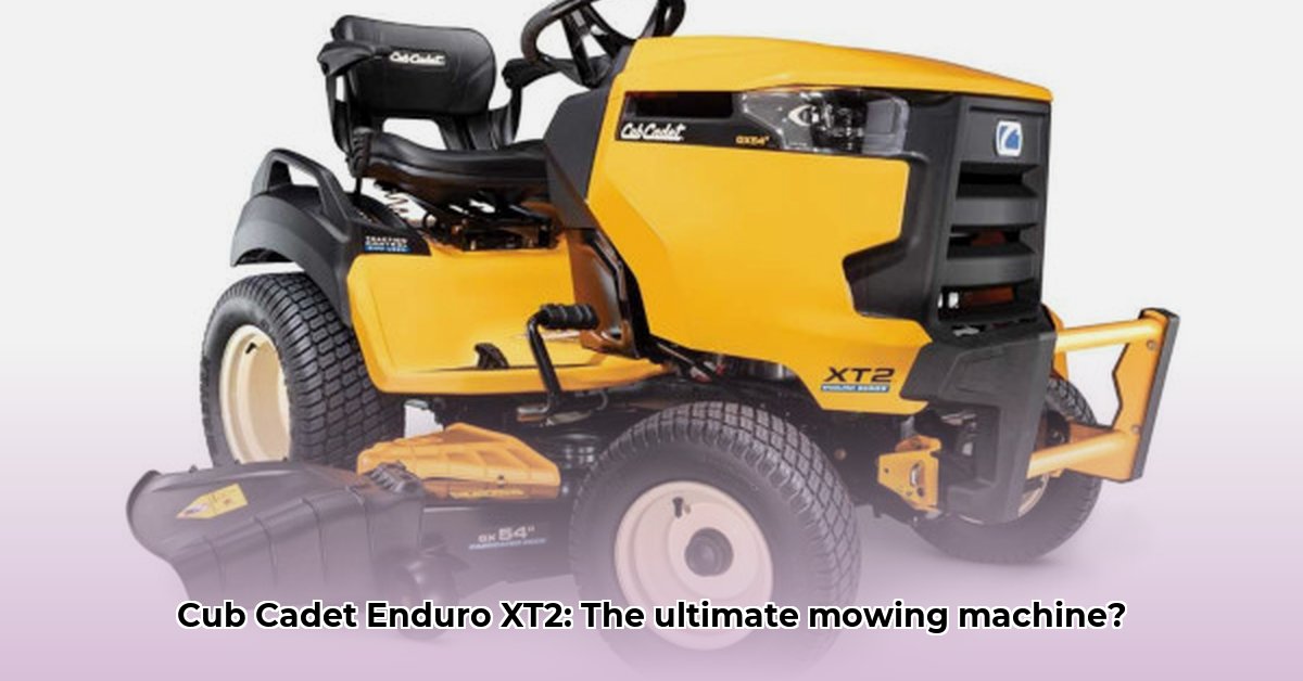 cub-cadet-enduro-xt2-gx54-d-garden-tractor
